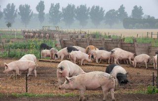 Caring Farmers komt met website GoedGehouden