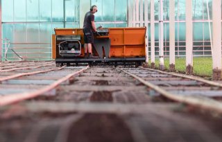 Glastuinder kan meer koeienmest goed gebruiken