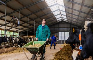 Webinar Ondernemen in de melkveehouderij