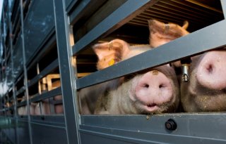 Transportwaardigheid: zoeken naar duidelijke grens tussen groen en oranje