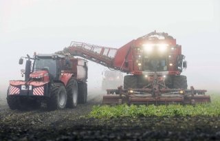 Bieten rooien in Groningse mist gaat als een tierelier