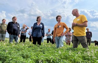 Lekker Lupine sluit aan bij EU-project voor stimulering lupineteelt