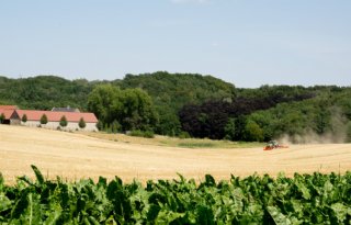 BoerenPerspectief helpt Limburgse agrariërs bij maken van keuzes