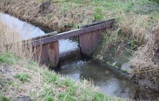 Boeren Goeree-Overflakkee vrezen omsingeling door zout slootwater