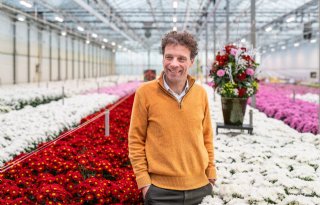 Nieuwe directeur Dekker Chrysanten is nieuwkomer in sector