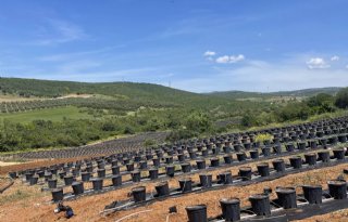 Hollands ecosysteem voor Turkse zachtfruitteelt