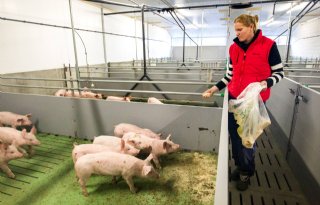 Marijke Folkers-In 't Hout nieuwe voorzitter raad van commissarissen ForFarmers