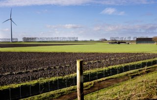 Fusie twee agrarische collectieven Zuid-Holland kost veel uitzoekwerk