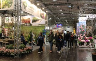 Duitse vakbeurs IPM Essen showt diversiteit van sierteelt