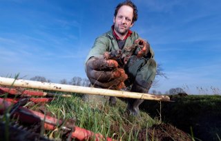 Grasland kleurt weer zwart van de molshopen