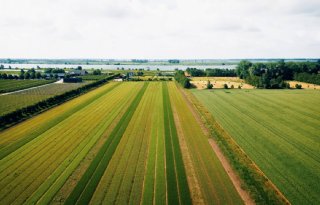 Innovatieve akkerbouw Zuid-Holland stimuleert biodiversiteit