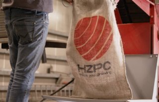 HZPC verwacht 1 miljoen ton pootgoed te verkopen