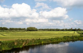 Emelten steken lokaal de kop op