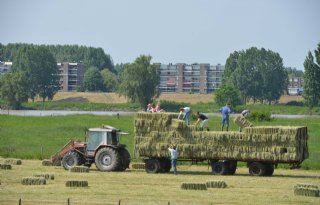 Utrecht nodigt boeren uit mee te praten tijdens landbouwtop