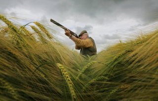 Faunaschade voor meer diersoorten vergoed in Flevoland na jachtverbod