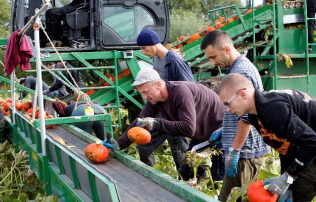 Werkgevers Open Teelten Doen Eindbod Voor Cao - Nieuwe Oogst