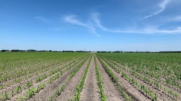 Meer Tijd Voor Experimenten Met Natuurinclusieve Landbouw In Drenthe En