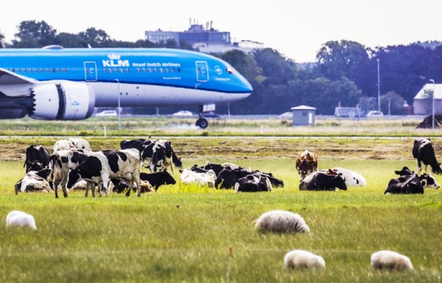 Ministerie LNV: stikstofruimte Schiphol is wel afgeroomd - Nieuwe Oogst